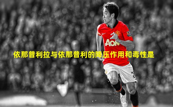 依那普利拉与依那普利的降压作用和毒性是
