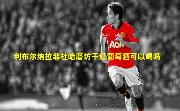 利布尔纳拉菲杜哈磨坊干红葡萄酒可以喝吗