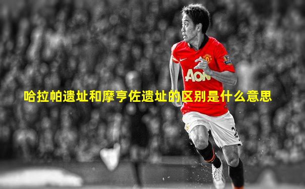 哈拉帕遗址和摩亨佐遗址的区别是什么意思