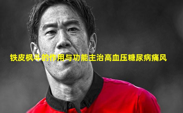 铁皮枫斗的作用与功能主治高血压糖尿病痛风